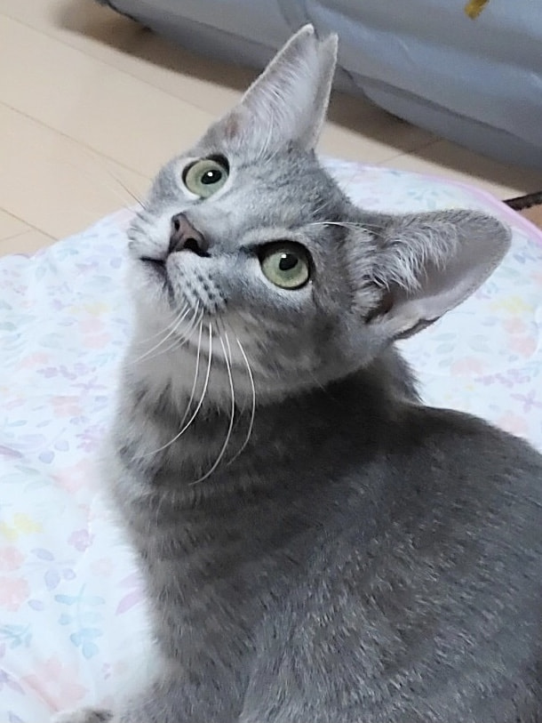 C4ABF3FB-0618-48A3-AE00-